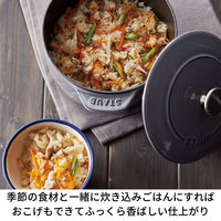 ストウブ （staub） ラ ココット de GOHAN M ブラック 16cm ご飯鍋 炊飯 2合 鋳物ホーロー 鍋 【日本正規販売品】【送料無料】