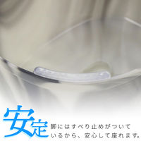 デフィ（Defi）風呂いす 風呂椅子 高さ21cm スモーク レック(B-882)