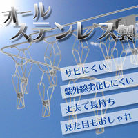 Ba オールステン 角ハンガー 32ピンチ （ベランダ低竿対応） レック(W-438)