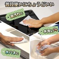 GNさっと使える　不織布ふきん60枚入 K00362 1セット（60枚入×2個） レック