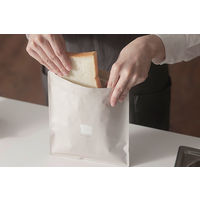 パン冷凍保存袋 食パン 冷凍 ホームメイドクッキング共同企画 1個（2枚入） マーナ