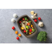 マジカリーノ シリコンスチーマー 角型 S 電子レンジ調理器 ブラック 1個 和平フレイズ