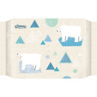 ティッシュペーパー 200組 クリネックスティシュー プレミアム ソフトパック 日本製紙クレシア  限定