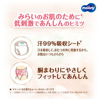 ムーニーマン 低刺激であんしん おむつ パンツ ビッグ（12～22kg）1セット（32枚入×2パック） ユニ・チャーム