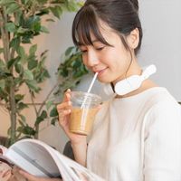 サンコー ネッククーラーEVO 専用バッテリーモデル ホワイト TN-NEMB3-WH 1個