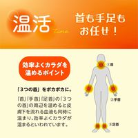 錦尚金 NISHIKIN　あったか温熱シート　首用 4582559949246 1個(3枚)（直送品）