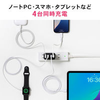 サンワサプライ  USB PD対応AC充電器（PD65W・C×3＋A×1） ACA-PD107BK（直送品）
