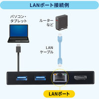 サンワサプライ  USB Type-Cドッキングステーション USB-DKM10BK（直送品）