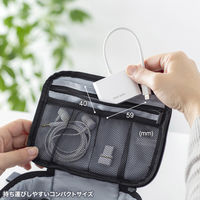 サンワサプライ  イヤフォンジャック付きType-Cハブ USB-5TCPA23W（直送品）