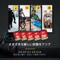 GIGASTONE SDXCカード UHSー1 U1 class10 64GB 2枚入り GJSXR-64GU1-RED-2PK 1セット