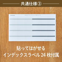 キングジム サクッと整理！ドキュメントファイル（フタ付） ホワイト 2290ーW 1セット（1冊×6）