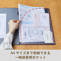 キングジム レシート/領収書スキャンホルダー ベージュ 790ーBE 1セット（1枚×30）