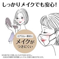 白元アース ビースタイル 立体タイプ ふつうサイズ シルバーグレー×ブルーグレー 58197-0 1袋(7枚入) JIS規格 一般用マスク適合