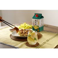 【ワゴンセール】【季節限定】菊正宗 れもん冷酒 900ml パック 1セット（1本×6） 日本酒ベースリキュール