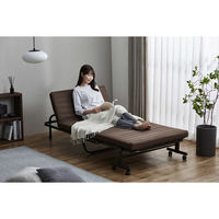 アイリスオーヤマ 折りたたみベッド OTB-BRR ブラウン 1台（直送品）