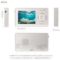 ダイアモンドヘッド 防水3.2インチワンセグTVラジオ OT-1WPT30TE 1台（直送品）