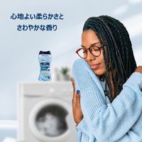 ダウニー（Downy） ブレンズ メドウレイン 235g 1個 柔軟剤ビーズ P＆G