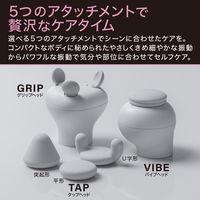 大東電機工業 スライヴ スリースタイルガン ブラック BMー01(BK) 1台