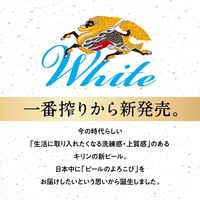(数量限定)ビール 一番搾り・一番搾り ホワイトビール 飲み比べアソート缶 350ml 2ケース(2種×各24本)