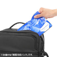 伊藤忠リーテイルリンク 瞬間冷却パック IRLA-046 1セット（25個）