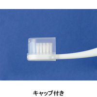 ルシェロ B20 ピセラ B-20M ふつう ジーシー 歯ブラシ（わけあり品）