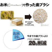 歯科医推奨 エコデント ライスレジン歯ブラシ ふつう 大人・子供向け 6色アソート 1セット（12本入）ラピス 限定（わけあり品）