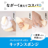 パックスナチュロン キッチンスポンジ 水切れがよい 長持ち 食器洗い ピンク 1個 太陽油脂