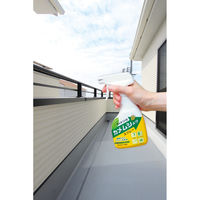 フィトンαカメムシよけスプレー 250mL 1セット（1本×3） タジマヤ