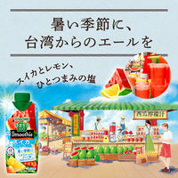 カゴメ 野菜生活100 Smoothie（スムージー） スイカ＆ソルティレモンMix 330ml 1箱（12本入）