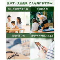 温湿度計 タニタ 大型デジタル温湿度計 大きい 日時時計表示  TTーA01 1個