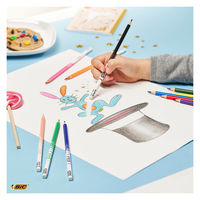 BICジャパン ビックキッズ消せる色鉛筆12色 BKEVOILLPK12 1セット（直送品）