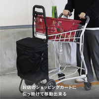 保冷キャリーカート maneuver 買い物カート ショッピングカート シービージャパン