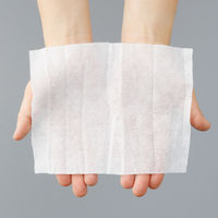 口腔ケアウエットシート 無香料 ノンアルコール ふた付 厚手 80枚入 1個 歯みがきティッシュ ポップアップ 介護 防災 オリジナル