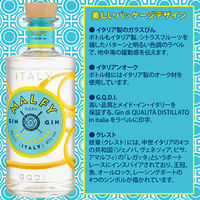 イタリア マルフィ ジン コン リモーネ 41度 700ml 1本 正規品 ペルノリカール