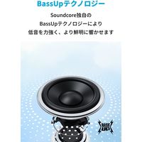 Anker Bluetoothスピーカー IPX7 最大15時間再生 Soundcore Mini 3 A3119031 1個