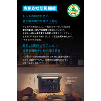 Anker Portable Power Station 1000 A1762N61-72 1台