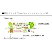 キャンディ 個包装  日本でそだったシャインマスカットのど飴 11粒入 1セット(1個×20) カンロ