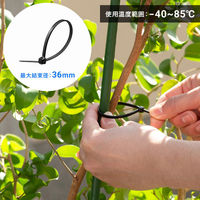 サンワサプライ  結束バンド（屋外用・耐候性・長さ150mm・幅3.6mm・50本入り） CA-622UV（直送品）