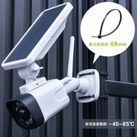 サンワサプライ  結束バンド（屋外用・耐候性・長さ250mm・幅4.8mm・50本入り） CA-624UV（直送品）