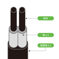サンワサプライ  回転タップ（AC4個口＋Type-C＋USB-A・PD20W・ブラック） TAP-B113UC-2BK（直送品）