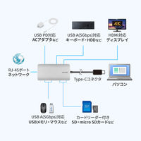 サンワサプライ  USB Type-C ドッキングステーション USB-DKM11S（直送品）