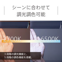 スワン電器 モニタライト EXZ-1500WH 1台