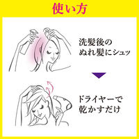 Segreta（セグレタ） 乾かすだけでふっくらミスト 150ml 花王