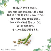 ブローネナチュリラ色長持ちカラートリートメント　ブラックつけかえ　155g　1個