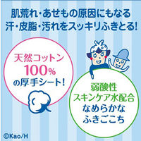 ビオレu 全身すっきりシート 携帯用 10枚入 花王