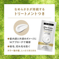 liese（リーゼ） 泡カラー アイスブルージュ 花王