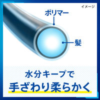 サクセス シャンプー イージースタイリング 寝癖直し超ラク！髪サッと整う 本体 400ml アブラ・ワックス一発洗浄