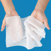 からだふき　ウェットタオルかお・からだ用ウェットシート　大判厚手　メッシュタイプ　無香料　ノンアルコール　1パック（30枚入）　からだふき　ボディシート