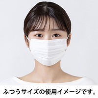 アイリスオーヤマ　デイリーフィットマスク ナノエアーフィルタープラス 小さめ PN-DNI30S 1箱（30枚入）