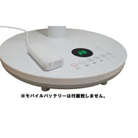 エスケイジャパン モバイルバッテリー対応 扇風機 30CM SKJ-ST300MB 1台（直送品）